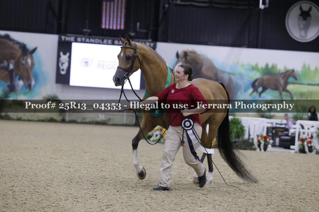 Proof 25R13_04353
