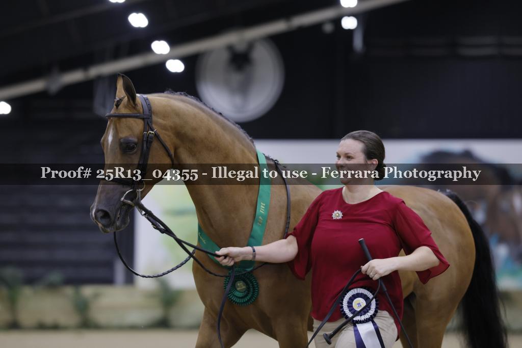Proof 25R13_04355