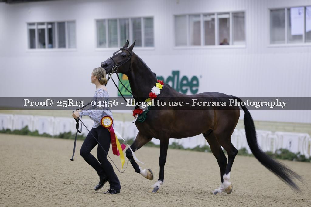 Proof 25R13_04356