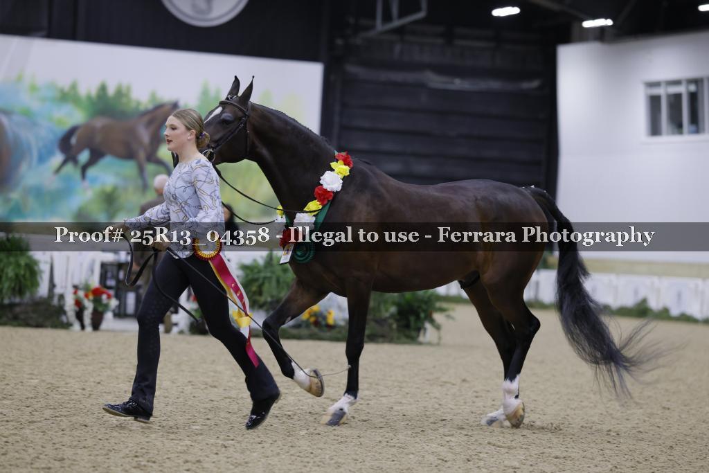 Proof 25R13_04358