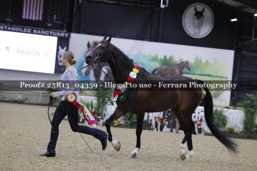 Proof 25R13_04359