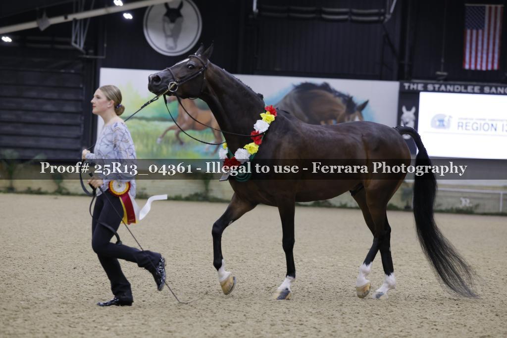 Proof 25R13_04361