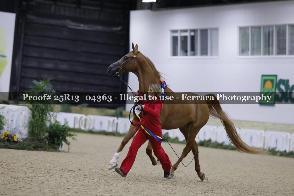 Proof 25R13_04363