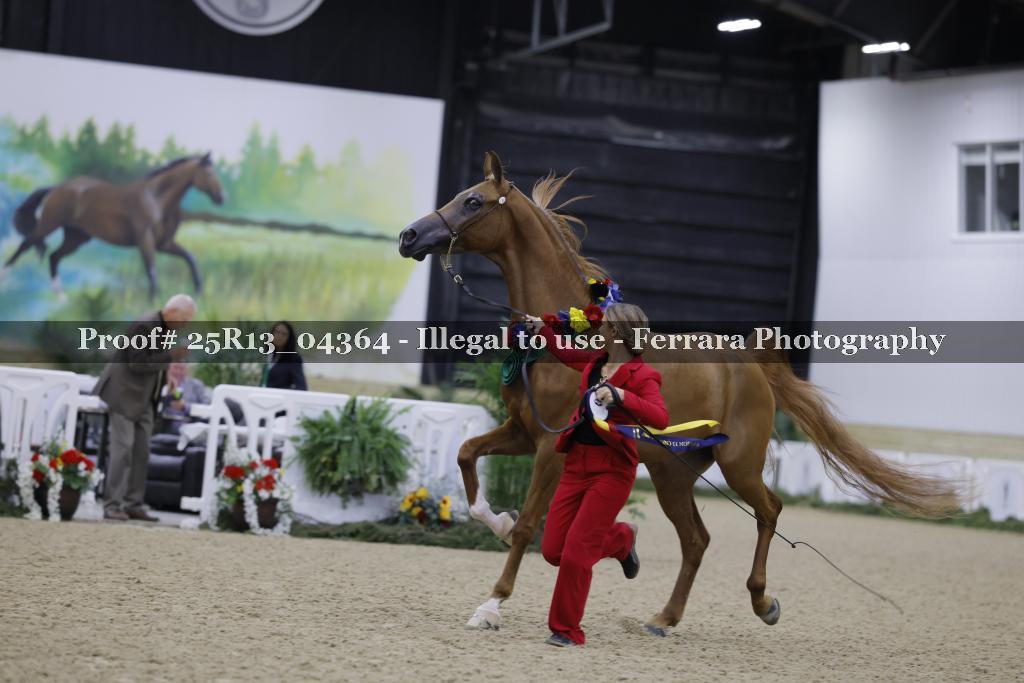 Proof 25R13_04364