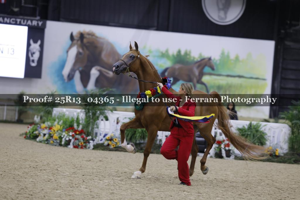 Proof 25R13_04365