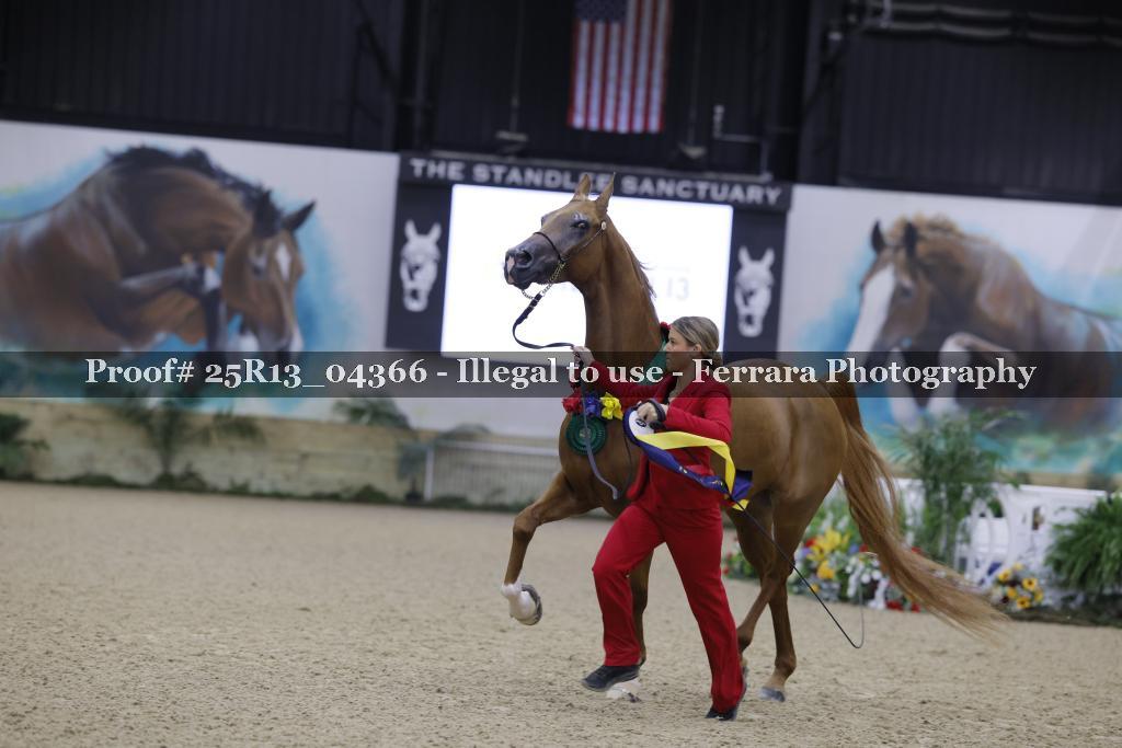 Proof 25R13_04366