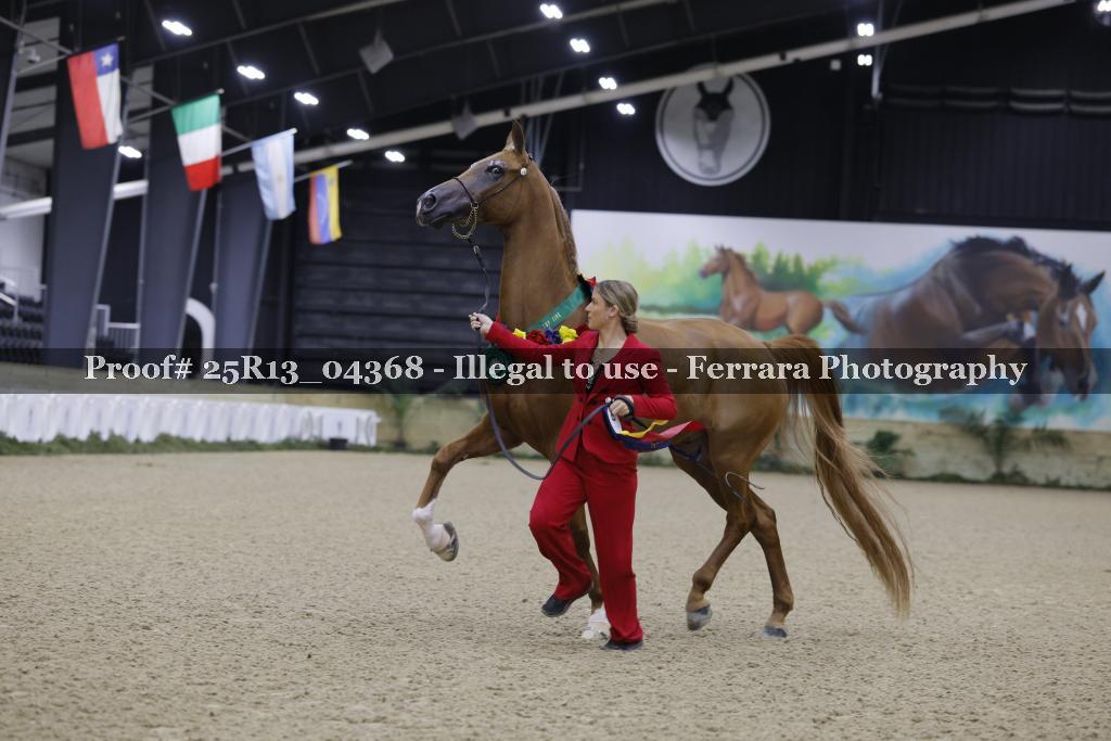 Proof 25R13_04368