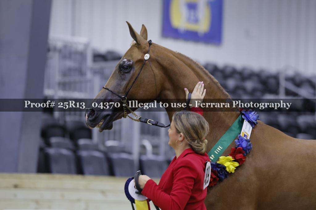Proof 25R13_04370