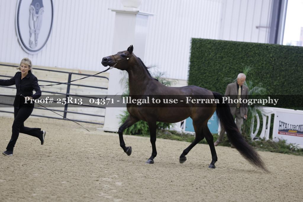 Proof 25R13_04371