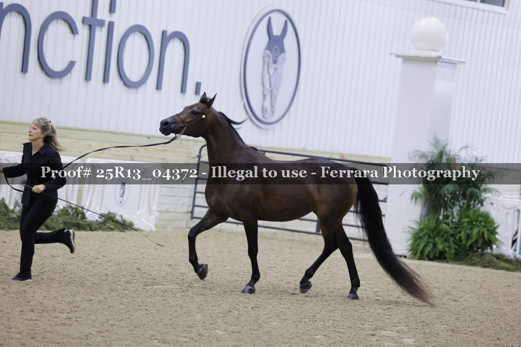 Proof 25R13_04372