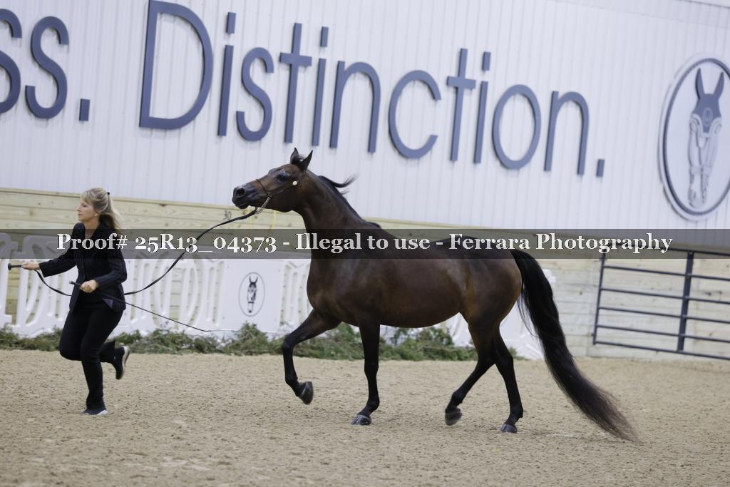 Proof 25R13_04373