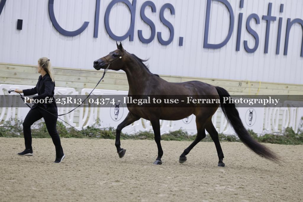 Proof 25R13_04374