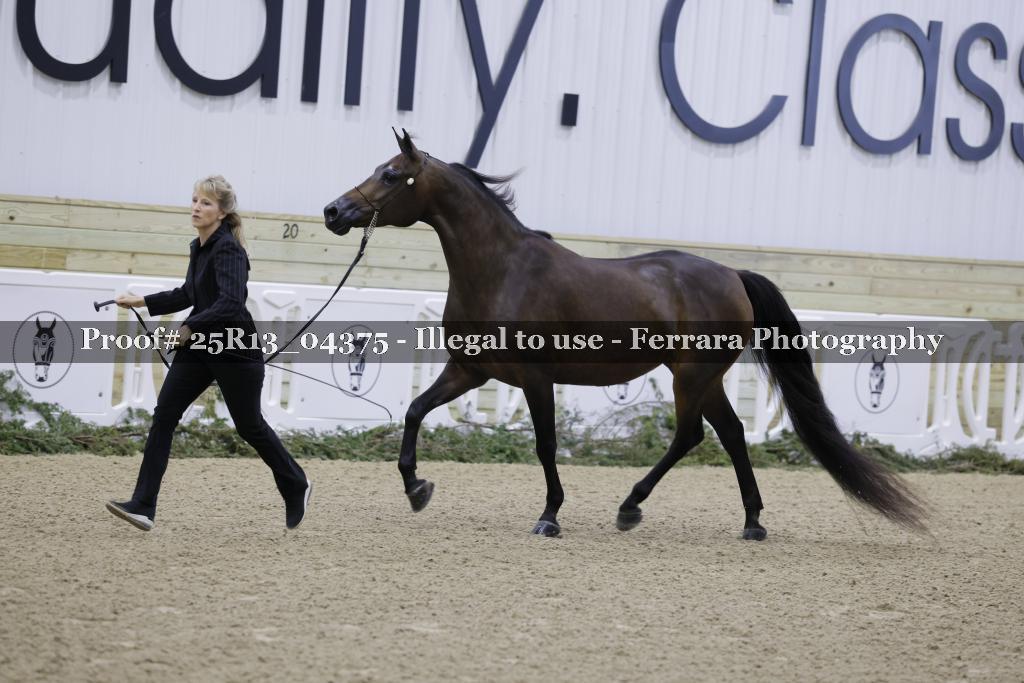 Proof 25R13_04375