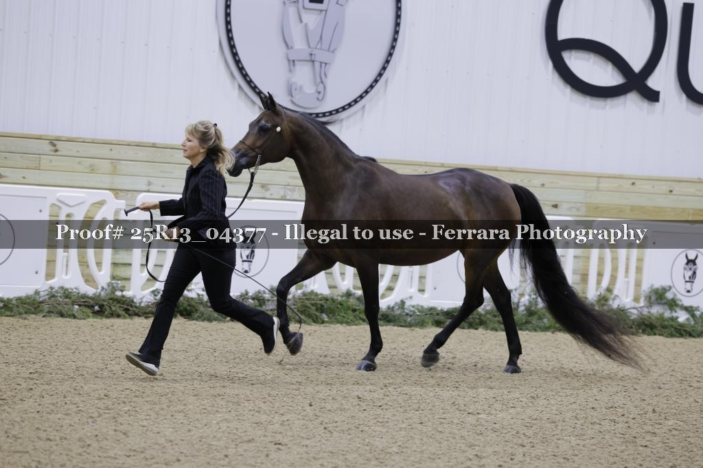 Proof 25R13_04377