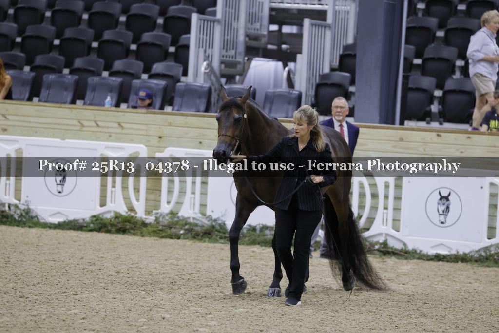 Proof 25R13_04378