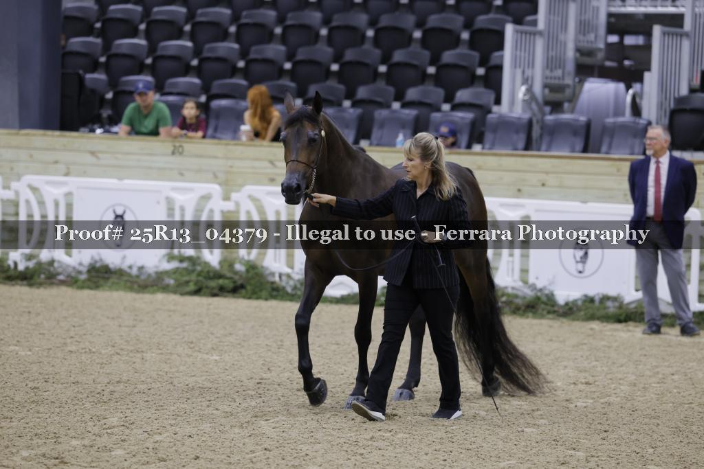 Proof 25R13_04379