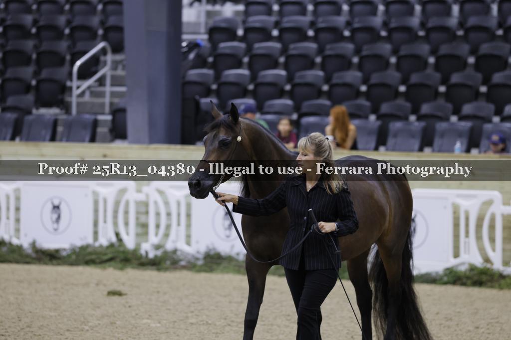 Proof 25R13_04380