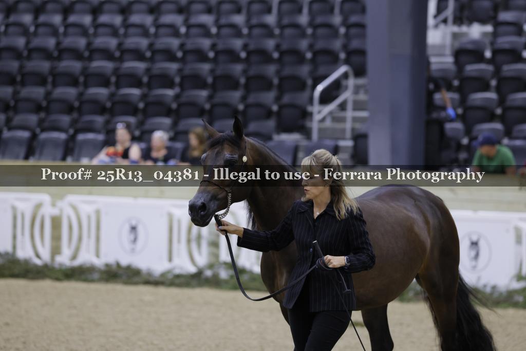 Proof 25R13_04381