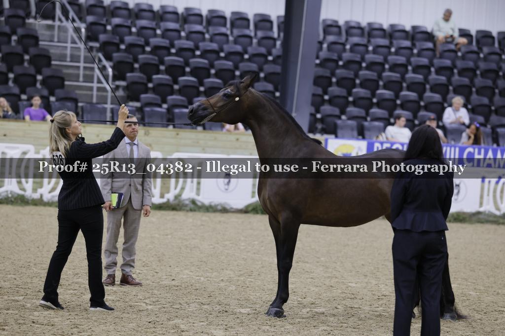 Proof 25R13_04382