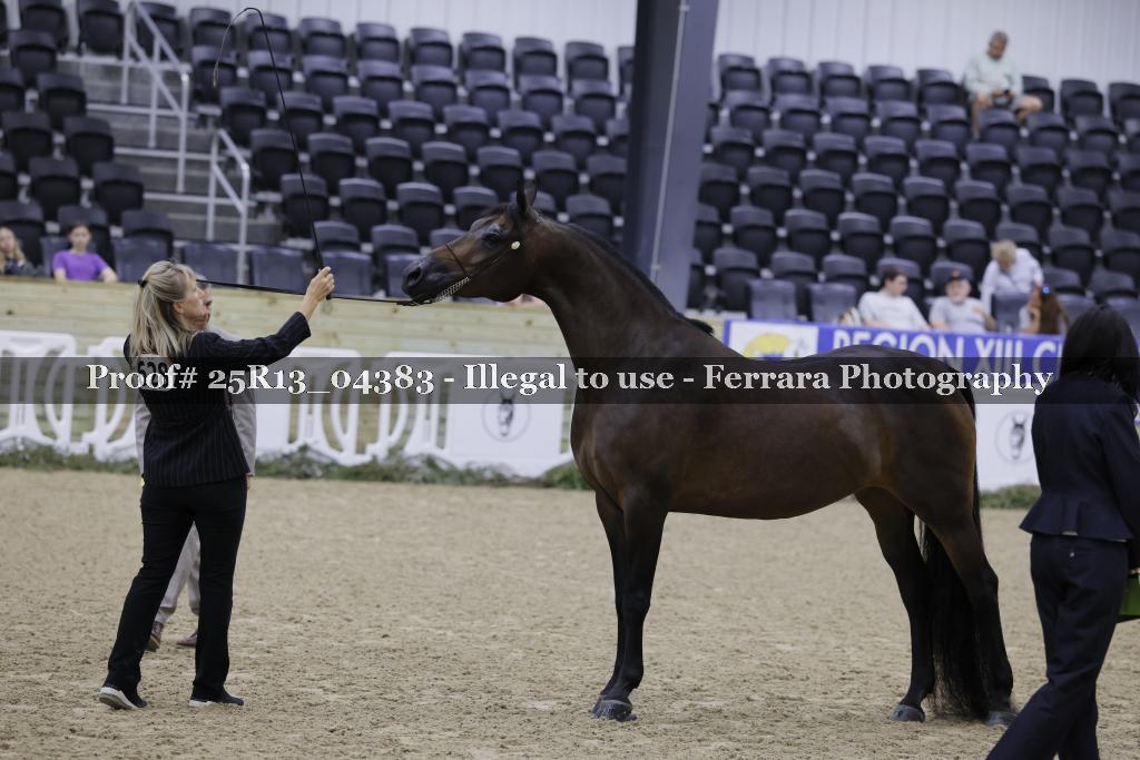 Proof 25R13_04383