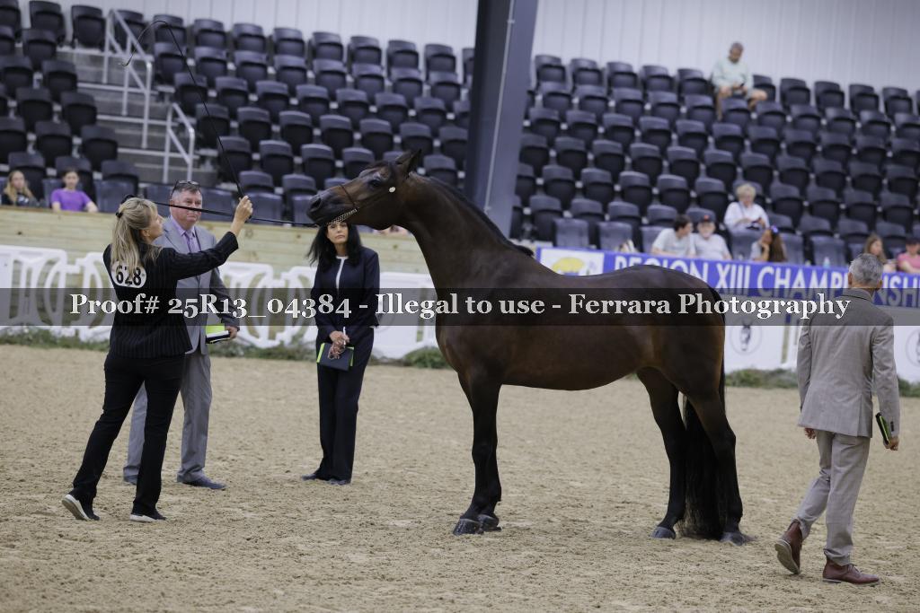 Proof 25R13_04384