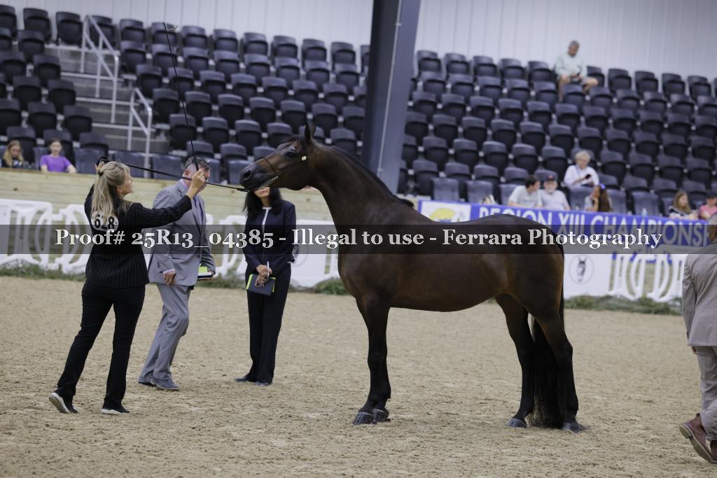 Proof 25R13_04385