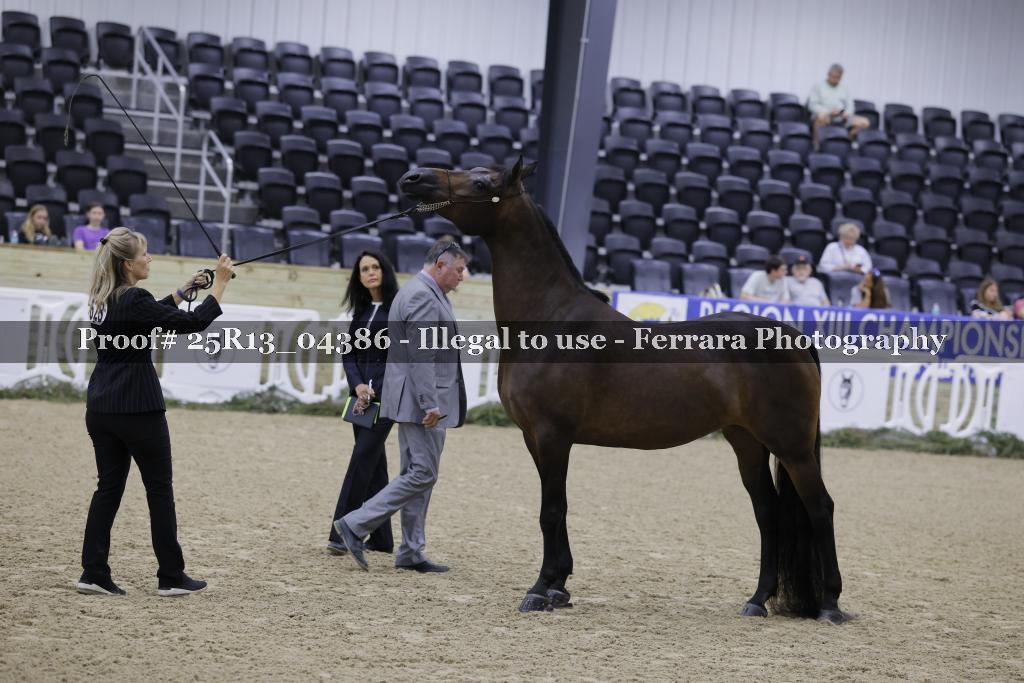 Proof 25R13_04386