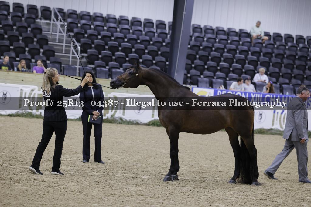 Proof 25R13_04387