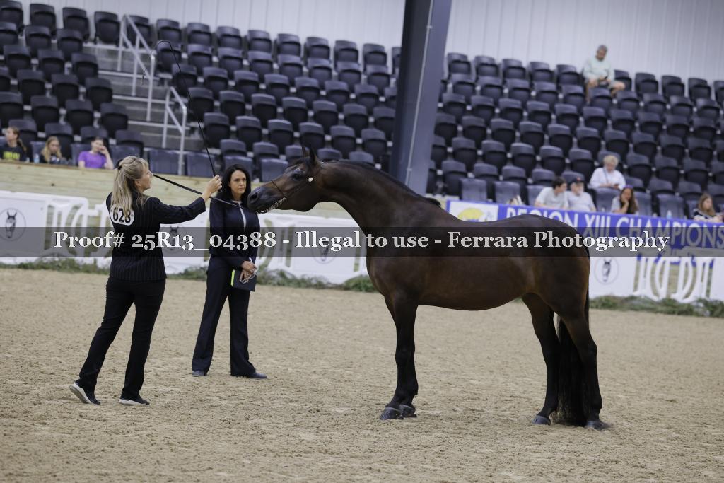 Proof 25R13_04388