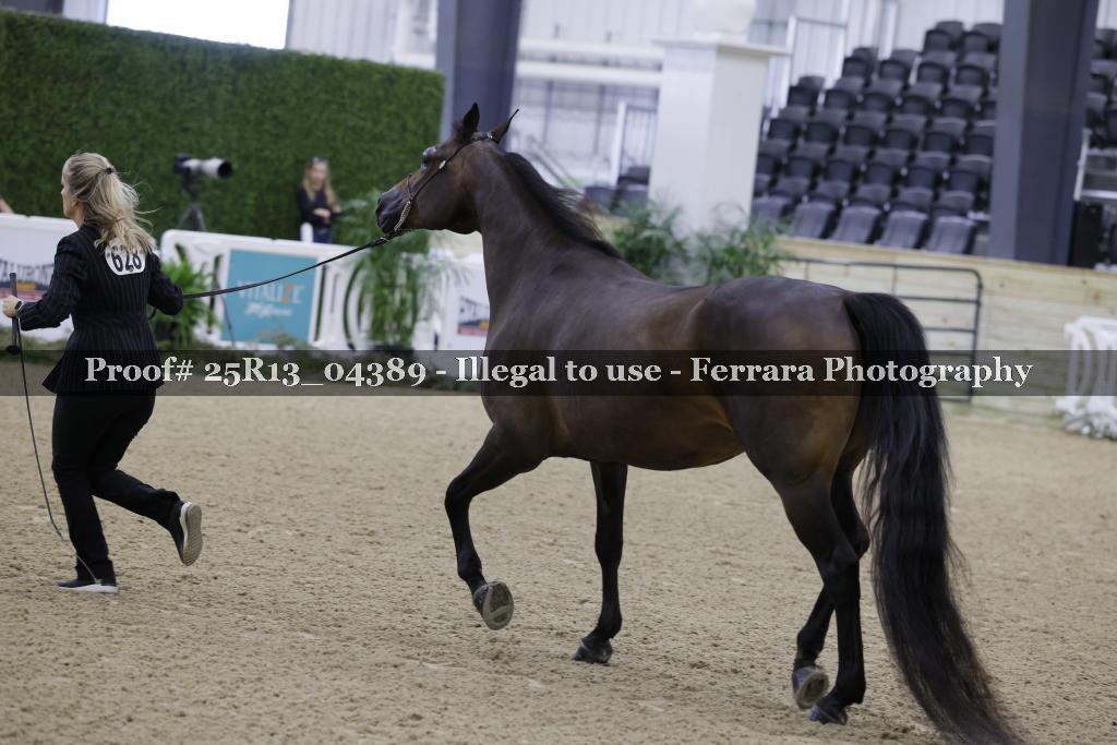 Proof 25R13_04389