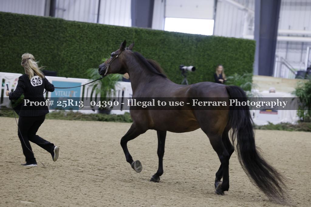 Proof 25R13_04390