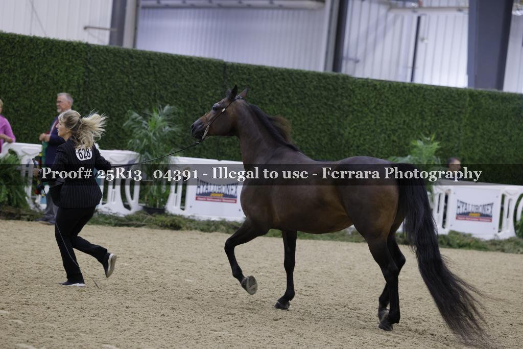 Proof 25R13_04391
