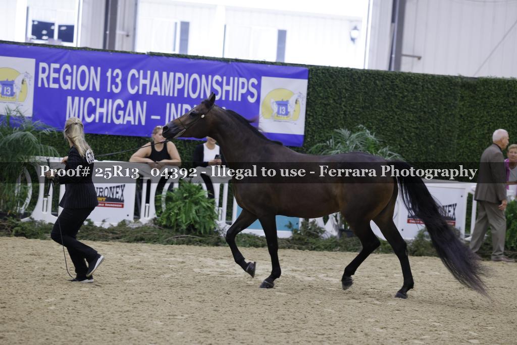 Proof 25R13_04392