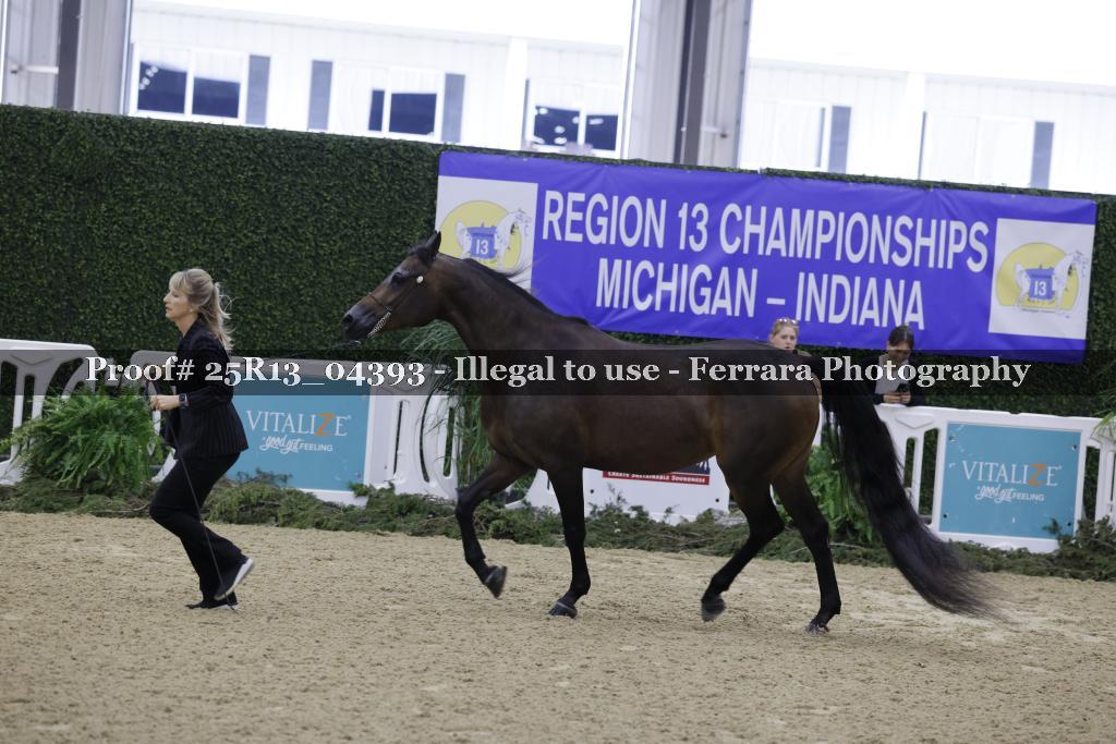 Proof 25R13_04393