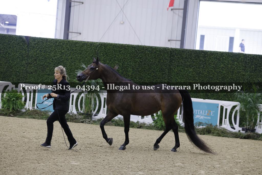 Proof 25R13_04394