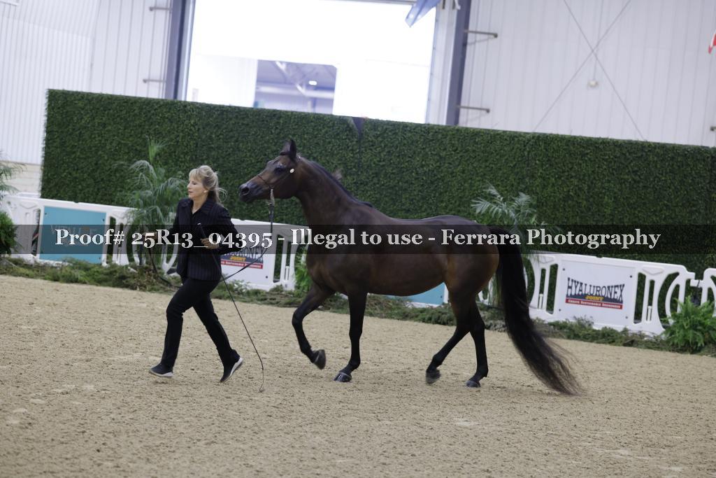 Proof 25R13_04395