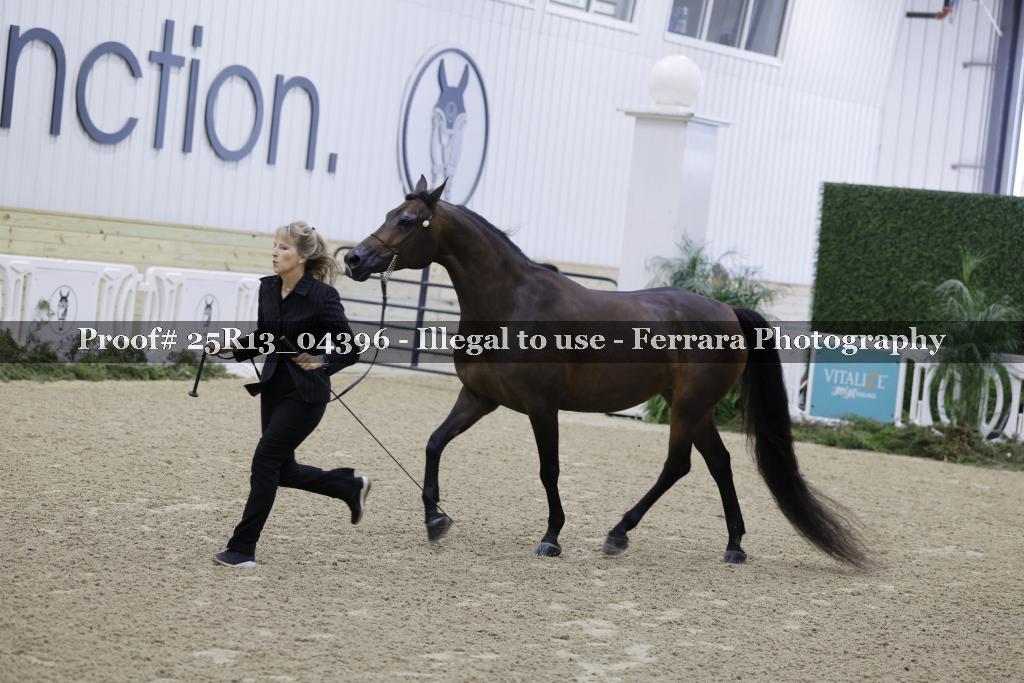 Proof 25R13_04396