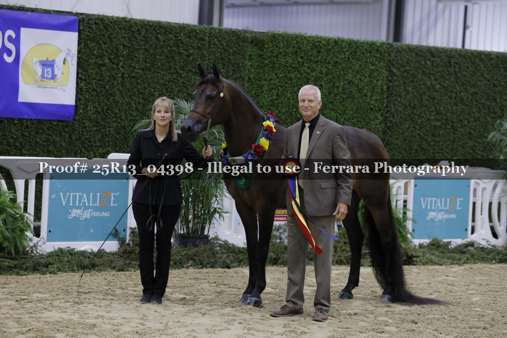 Proof 25R13_04398