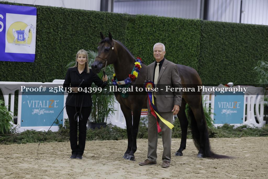Proof 25R13_04399