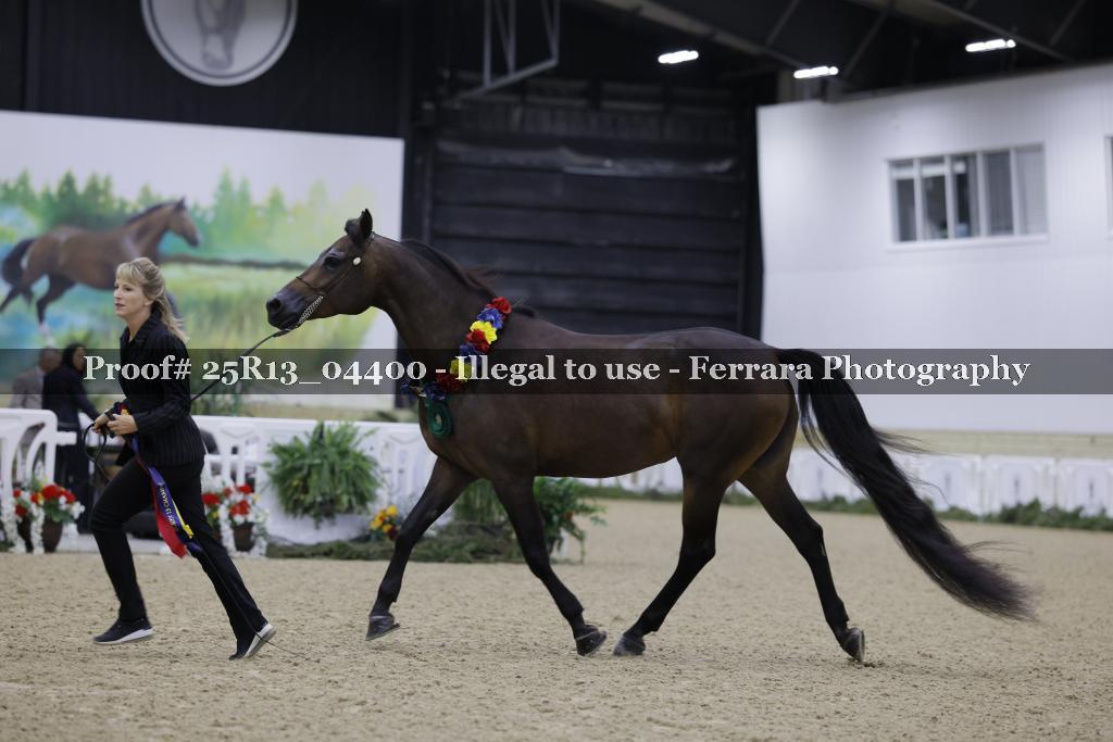 Proof 25R13_04400
