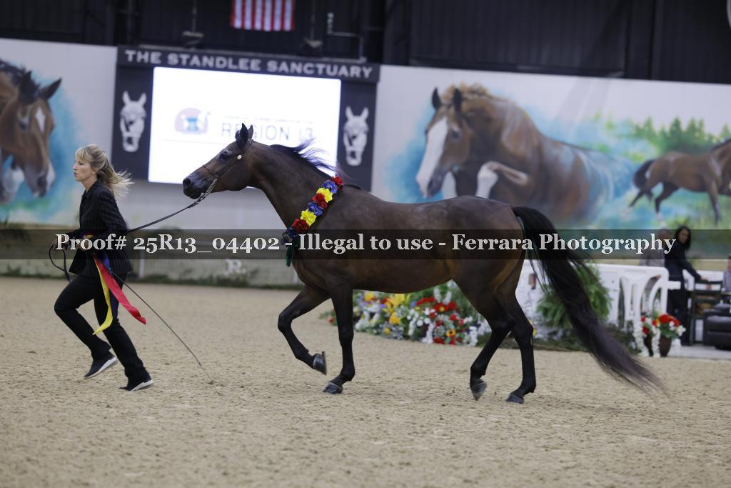 Proof 25R13_04402