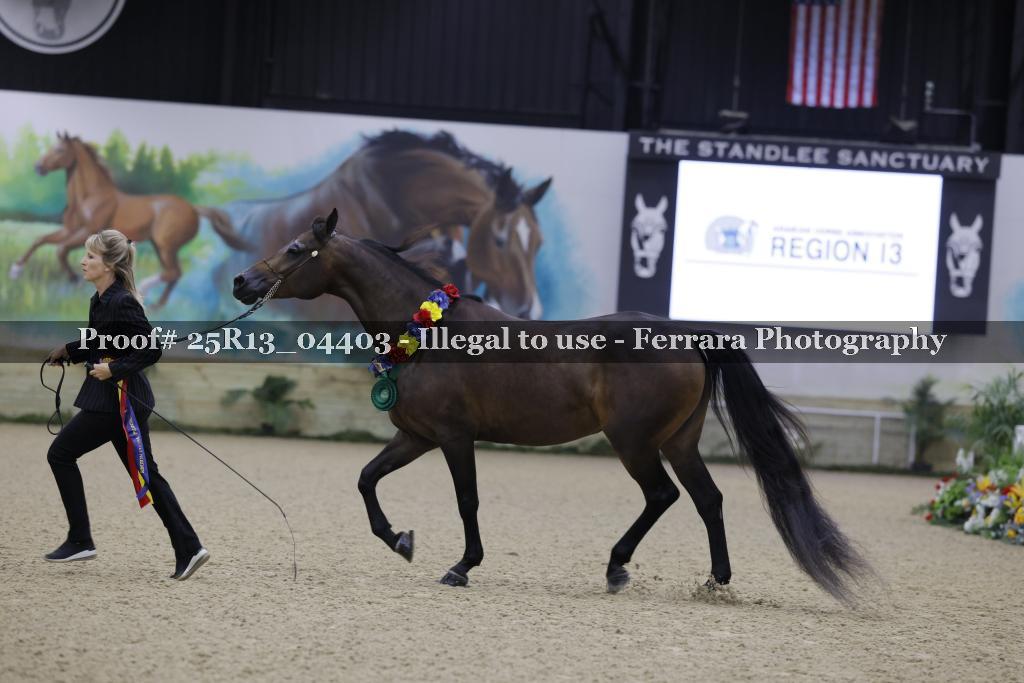 Proof 25R13_04403