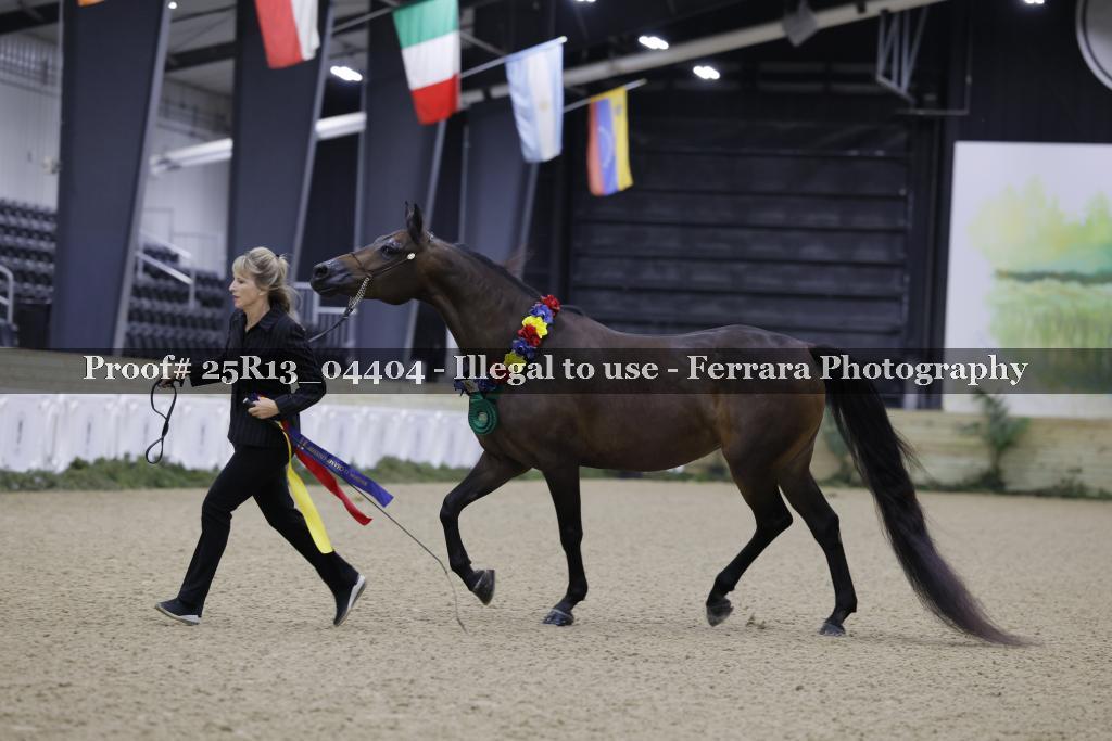 Proof 25R13_04404