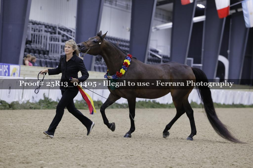 Proof 25R13_04405