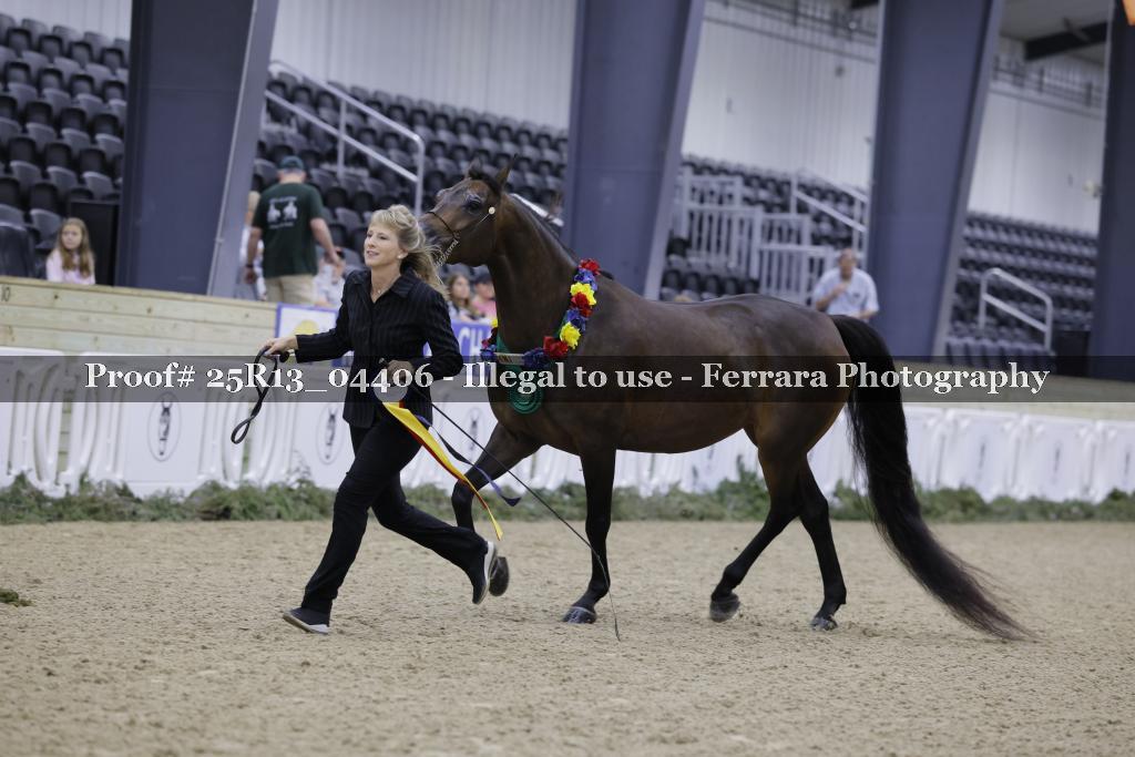 Proof 25R13_04406
