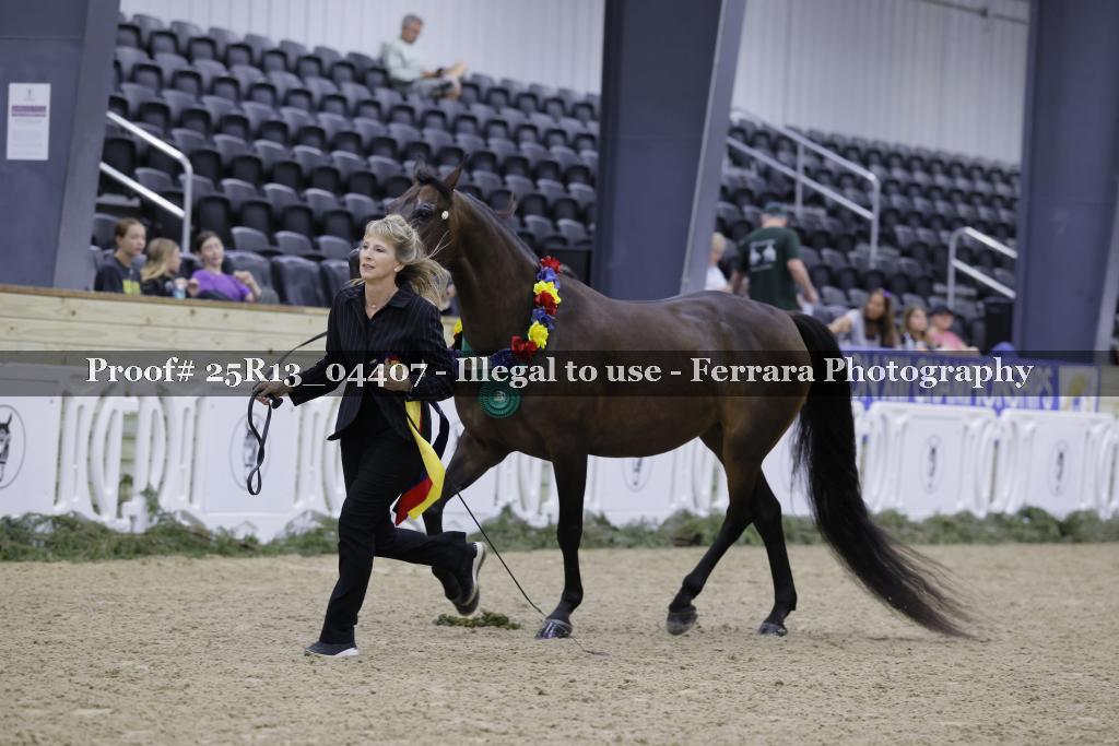 Proof 25R13_04407