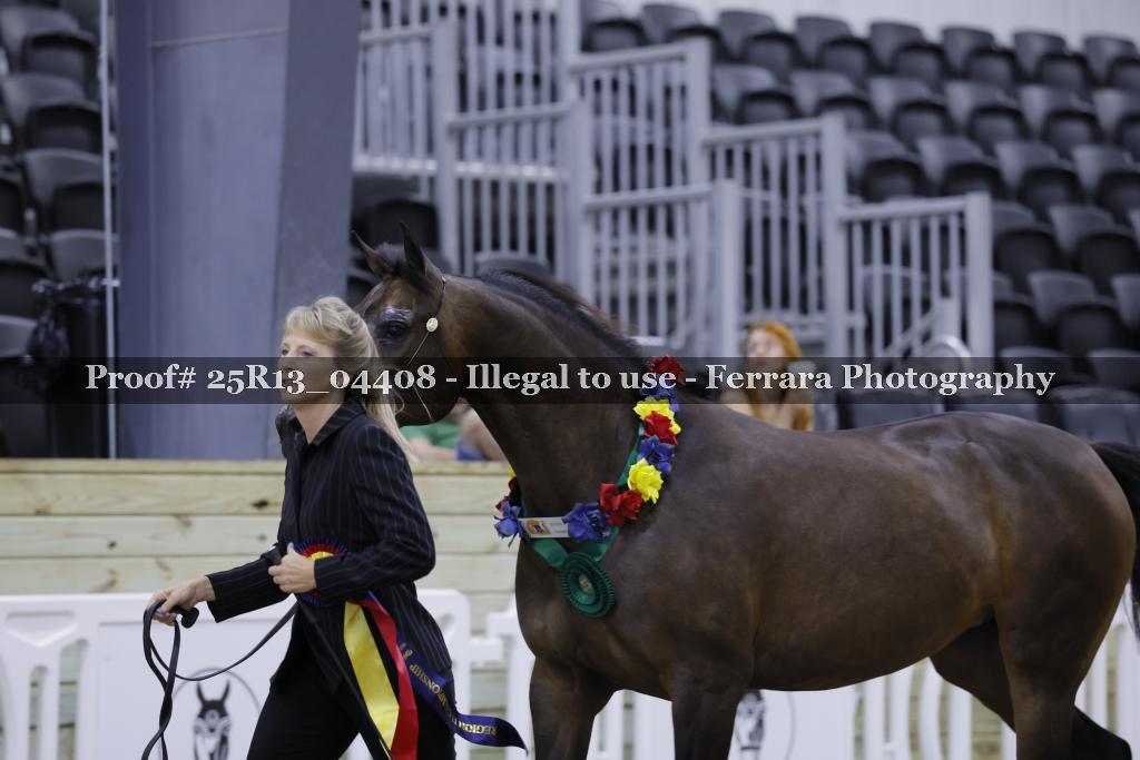 Proof 25R13_04408