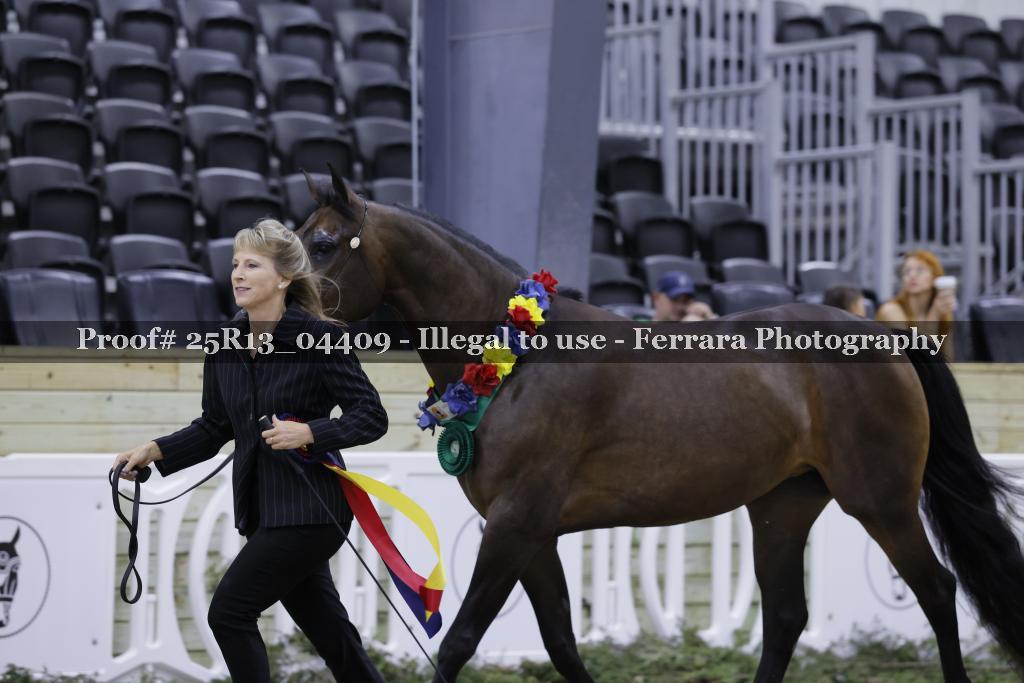 Proof 25R13_04409