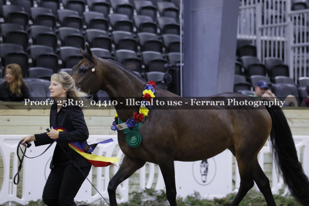 Proof 25R13_04410