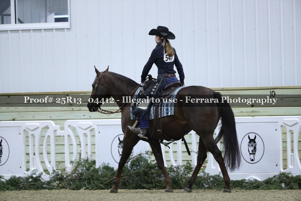 Proof 25R13_04412